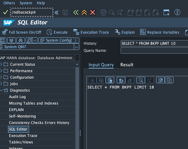 sap-sql-editor